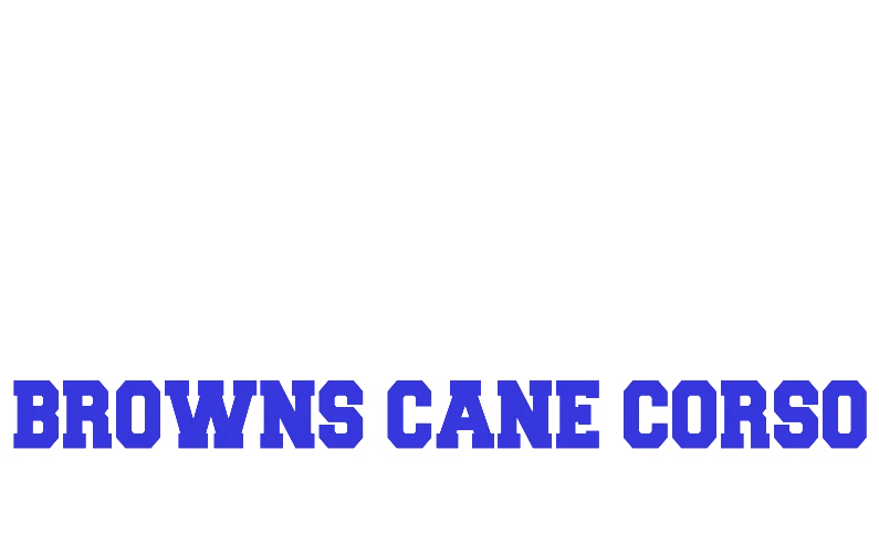 Browns Cane Corso, established 2008